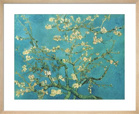 Almond Blossom, 1890 Art Print by Vincent Van Gogh | King & McGaw