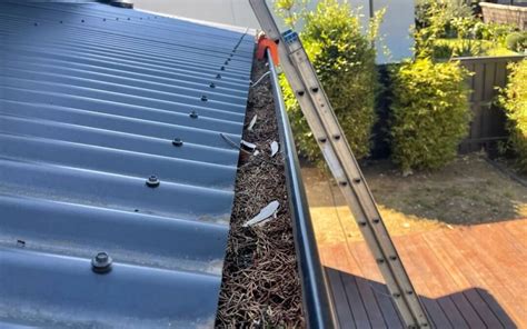 Can you put a ladder against the gutter? The Homeowners Guide