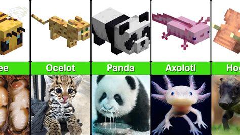 Minecraft Baby Animals in Real Life - Comparison - YouTube