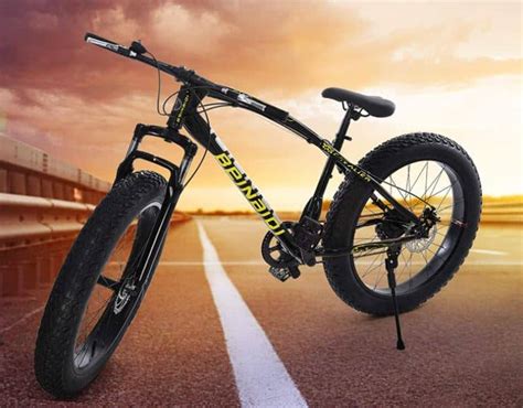 10 Best Fat Tire Bikes For the Money 2021 | Bike Smarts