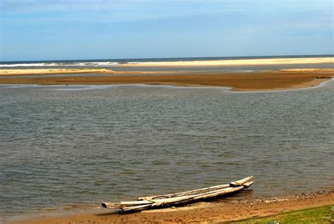 Coromandel Colonies Archives - Lakshmi Sharath