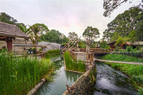 366 Days Of HDR: March 8th 2012 - Auckland Zoo