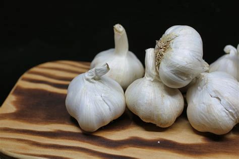 How to Get Rid of Garlic Breath - Pioneerthinking.com