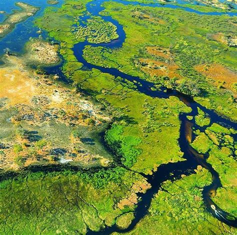 The Okavango Delta in Botswana is a very large inland delta formed where the Okavango River ...