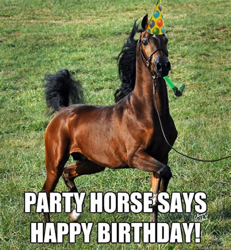 Happy Birthday Funny Horse