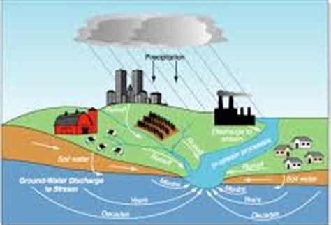 Stormwater Facts | Needham, MA