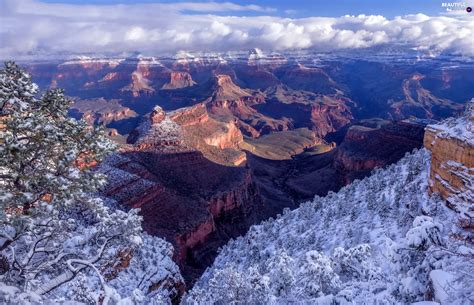 canyon, snow, State of Arizona, Grand Canyon National Park, The United ...