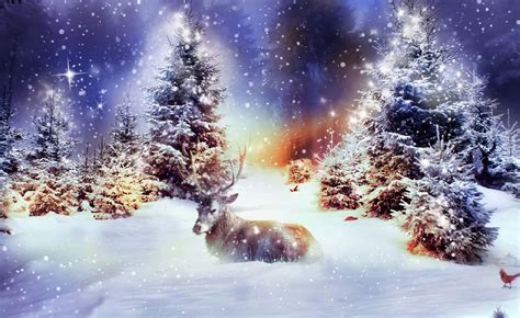 Winter Christmas Desktop Background