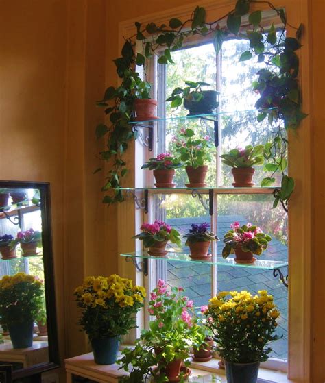 How To Start A Window Garden - Garden Design Ideas