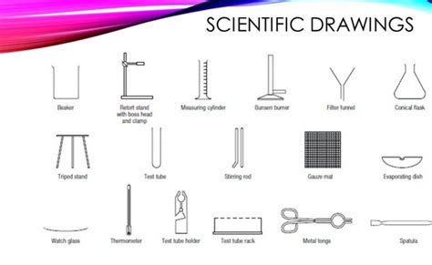 How To Draw Scientific Diagrams Tools And Important Considerations ...