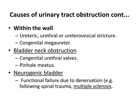 Urinary Tract Obstruction Possible Causes Of It By | Hot Sex Picture