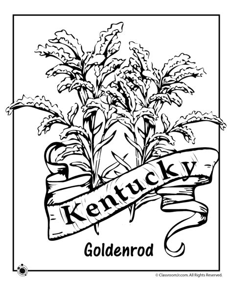 Kentucky State Flower Coloring Page | Woo! Jr. Kids Activities ...