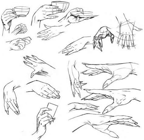 hand model sheets | How to draw hands, Drawing tutorial, Drawing poses