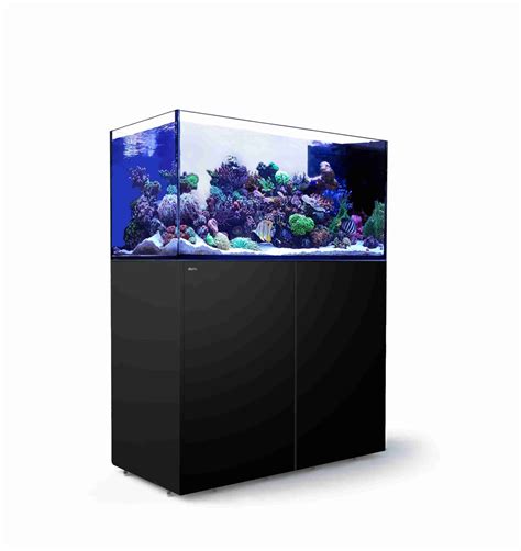 Red Sea Reefer Peninsula P650 – Lifestyle Aquarium