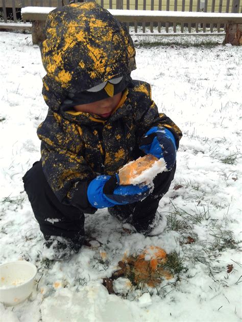 A Winter Curriculum emerges… | Terra Nova Nature School