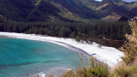 Anawangin Cove in Zambales (Travel Guide) - Gamintraveler