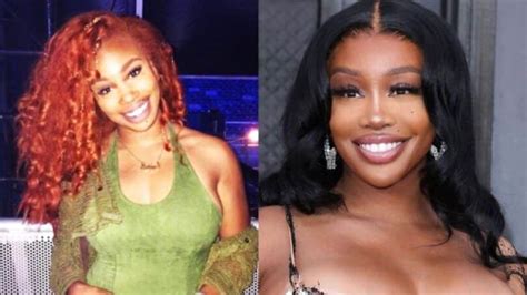 Did SZA Undergo Plastic Surgery? Unveiling the Truth Behind the Plastic ...