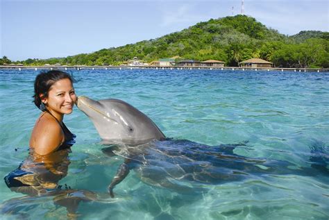 Dolphin Encounter - Anthony's Key Resort - Roatan - Honduras Honduras ...