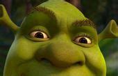 Shrek 575 Juegos Rompecabezas para niños. Puzles Online | Shrek face, Shrek, Up animation