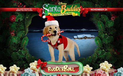 Santa Buddies Wallpapers - Wallpaper Cave