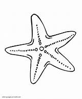 Sea Star coloring Page  COLORING PAGES PRINTABLECOM sketch template