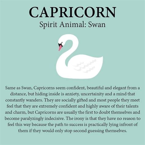 Capricorn Spirit Animal | Zodiac capricorn, Capricorn life, Astrology capricorn