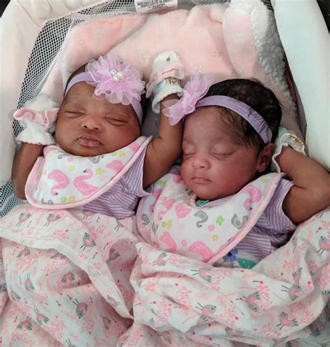 African American Newborn Babies Twins