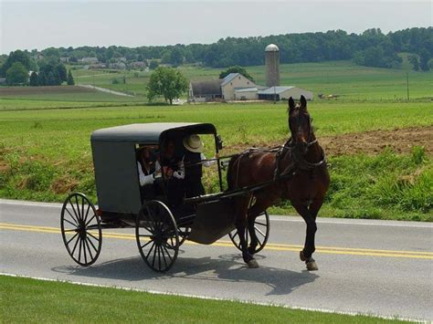 21 Amish Rumspringa Facts and Stories: What Really Happens