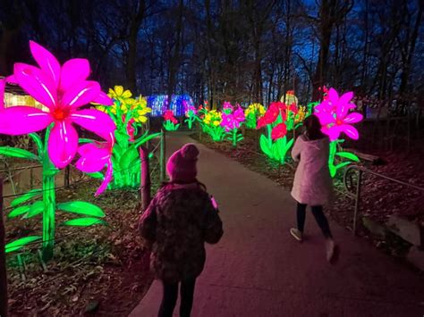 Be Astounded! See the New Grand Rapids Lantern Festival at John Ball Zoo - April, May, June 2023 ...