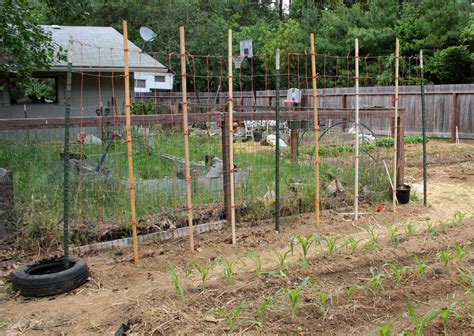 just made this today 5-22-13 Green bean trellis will be planting Blue ...