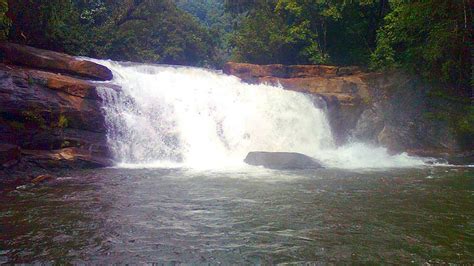 Best Tourist Places To Visit in Idukki for An Eco-Tour