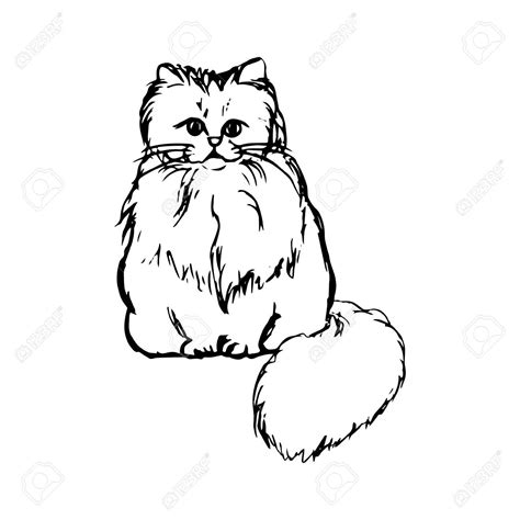 Abstract drawing of a fluffy cat, graphic vector illustration Stock Vector - 70914597 Abstract ...