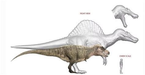 Prehistoric planet Trex and Jurassic park Spinosaurus size comparison ...