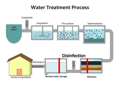 Top 5 Water Purification Methods - Complete Guide.