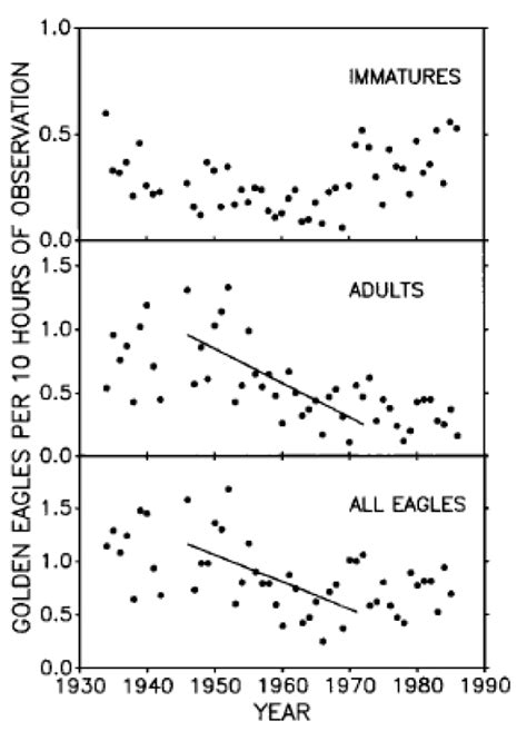 Golden Eagle Recovery Strategy | ontario.ca