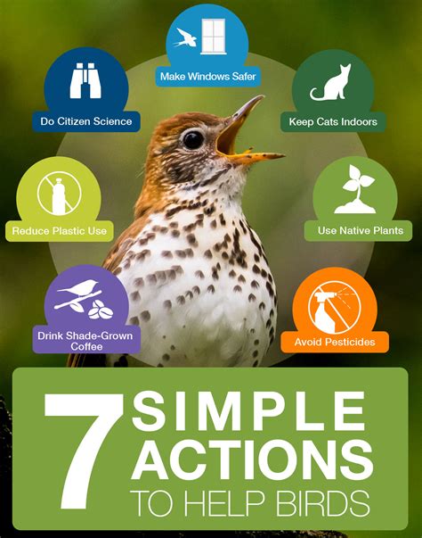 Help birds at home – Wisconsin Bird Conservation Partnership