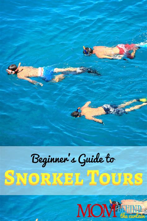 Snorkeling Tours Beginners Guide - Hawaii vacation 10 • Mom Behind the Curtain