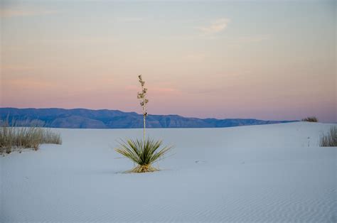 White Sands National Park - Right Kind Of Lost