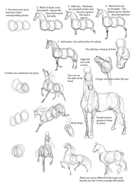 Horse Drawing Step By Step Realistic ~ Horse Drawing Step By Step ...