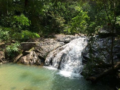 Hiking Gunung Pulai - GoWhere Malaysia