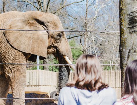 A Day at the Memphis Zoo - Life Full of Light