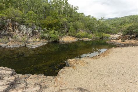 Alligator Creek walk, Mount Elliot | Bowling Green Bay National Park | Parks and forests ...