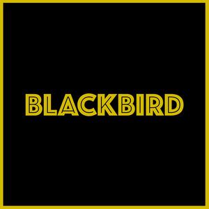 Blackbird Chords & Tabs - Fingerstyle Covers