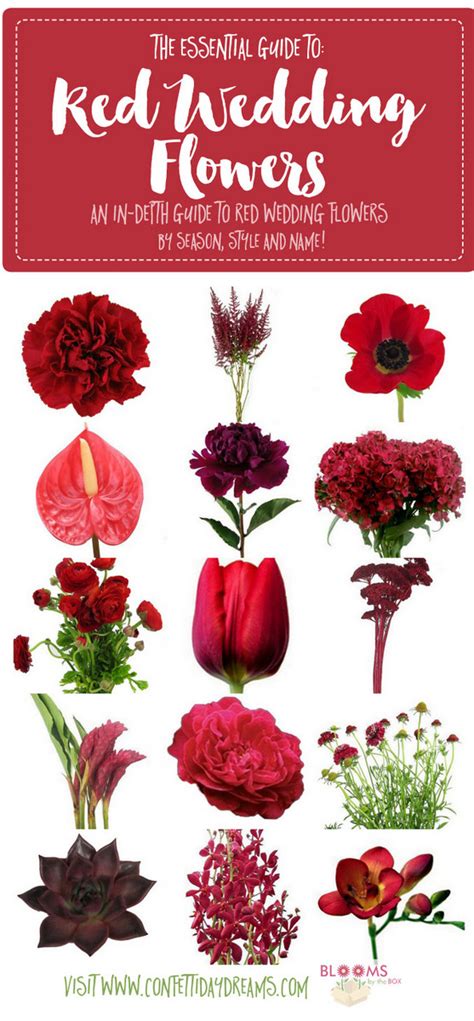 Names and Types of Red Wedding Flowers with Seasons + Pics