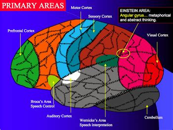 Visual Imagery | Definition, Concept & Principles | Study.com