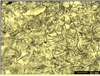 Grey Cast Iron Microstructure