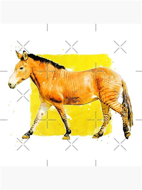 "Zorse Animal Art" Poster for Sale by dimzdesignlab | Redbubble