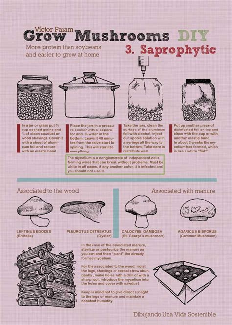 DIY mushroom cultivation posters - Milkwood: permaculture courses ...