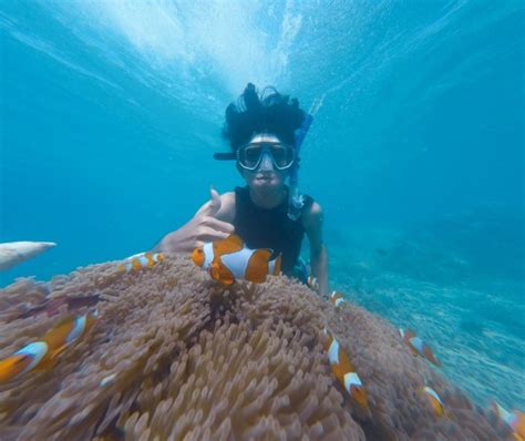 Blue Lagoon Snorkeling Tour | Bali Snorkeling Tour At Blue Lagoon