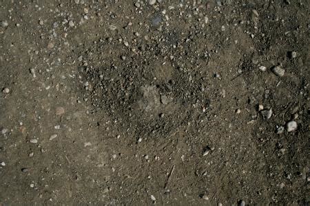 Free photo: Ground texture - Colors, Cracked, Dry - Free Download - Jooinn